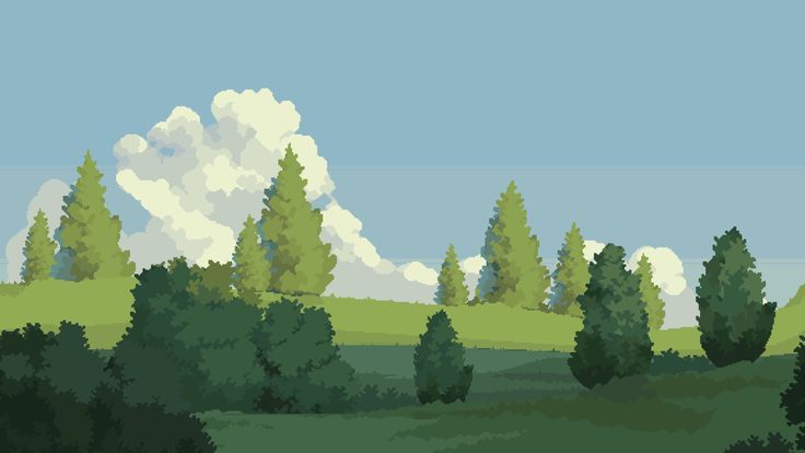Forest landscape